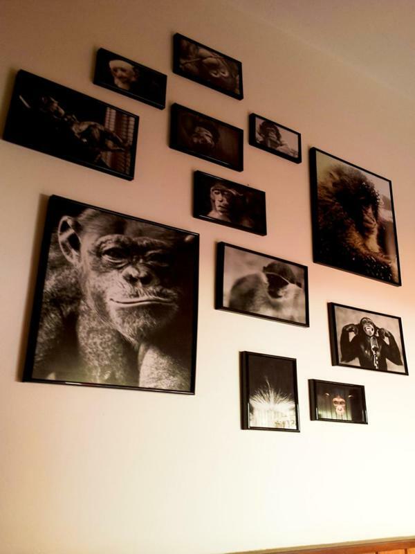 The Mellow Monkey Hostel Ζαντάρ Εξωτερικό φωτογραφία